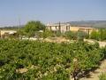 Self catering Gite in Herault Languedoc-Roussillon